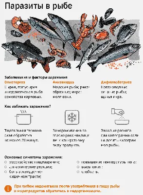 Какая рыба самая полезная и какая рыба самая вредная: мнение диетологов -  11 марта 2023 - 45.ru