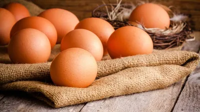 Какие яйца самые полезные - самые распространенные мифы | РБК Украина