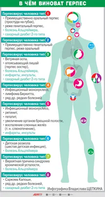 Вирус вездесущий. Герпес — причина болезни Альцгеймера, инфаркта и инсульта  | Здоровье | АиФ Аргументы и факты в Беларуси