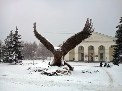 Орел зимой - 35 фото