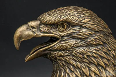Орел скульптура, статуэтка настольная голова орла – купить онлайн на  Ярмарке Мастеров – H44C7RU | Скульптуры, Вологда