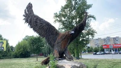 Файл:Топиарный орёл в 900 квартале города Орла.jpg — Путеводитель Викигид  Wikivoyage