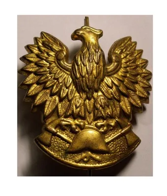 Купить Эмблема орла пожарная команда PSP PRL эмблема орла: отзывы, фото и  характеристики на Aredi.ru