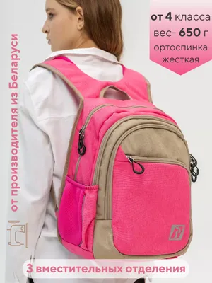 Школьный ортопедический рюкзак SkyName арт. 55-51 - купить в магазине  игрушек в Минске | TOYS-LIKEKIDS