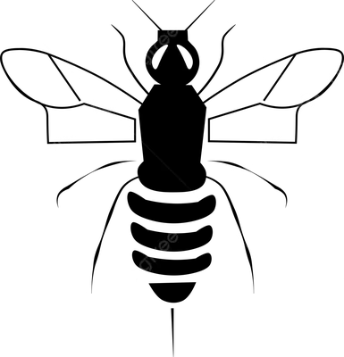 черная оса дизайн PNG , черная оса, оса, крутая оса PNG картинки и пнг  рисунок для бесплатной загрузки
