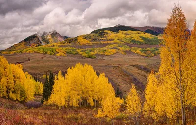 Обои осень, лес, горы, тучи, склоны, краски осени, золотая осень картинки  на рабочий стол, раздел пейзажи - скачать