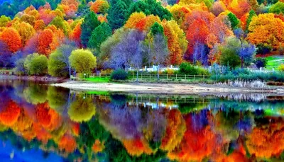 Яркие краски осени - 76 фото