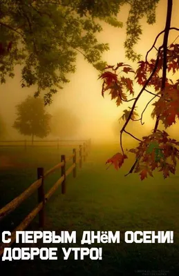 С первым днём осени С добрым утром | Осенний пейзаж, Пейзажи, Живописные  пейзажи
