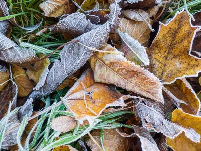 Борьба осени с зимой — прогноз погоды на Сахалине и Курилах на 18 октября -  SakhalinMedia