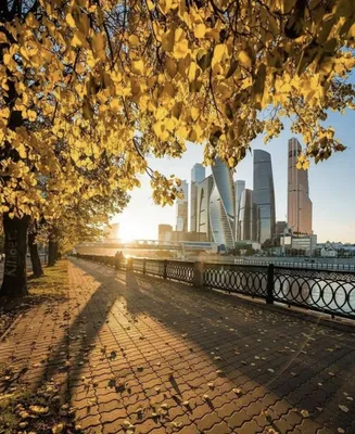 Осенней москвы фотографии