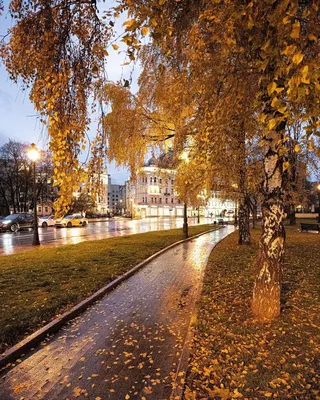 Архитектурная Москва Елена (@elena.krizhevskaya) • Instagram photos and  videos | Country roads, City, Europe