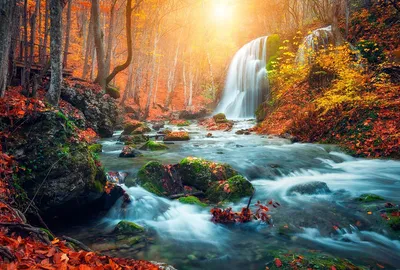 Купить фотообои \"Осенний водопад\" в интернет-магазине в Москве