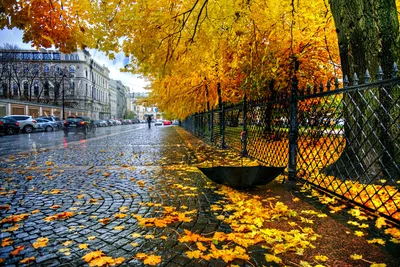 Осенняя Москва.