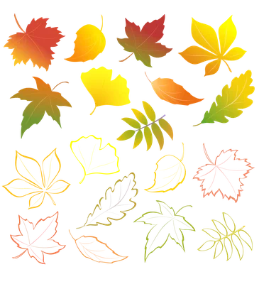 Осенние листья | Началочка
