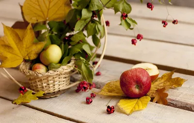 Обои осень, листья, яблоки, букет, натюрморт, корзинка, боке, осенние  листья картинки на рабочий стол, раздел еда - скачать