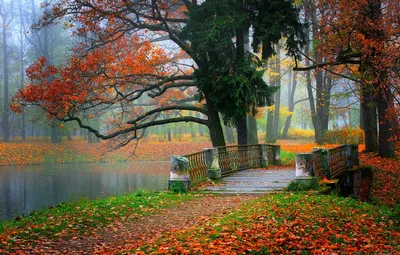 Осенние пейзажи на рабочий стол - 36 фото
