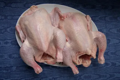 Куриное мясо Gratis Food, Ощипанная курица, еда, животные, услуга png |  PNGWing