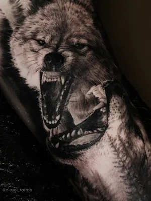 Татуировка оскал волки | Пикабу
