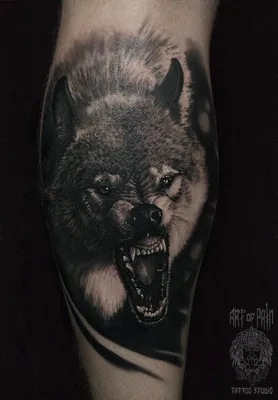 Татуировка мужская реализм на голени оскал волка 1740 | Art of Pain