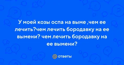 Овцы болеют! Сыпь вокруг губ! | Fermer.Ru - Фермер.Ру - Главный фермерский  портал - все о бизнесе в сельском хозяйстве. Форум фермеров.