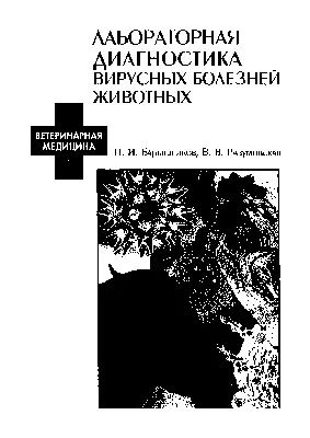 В Киевской области свирепствует африканская чума свиней — объявлен карантин  | GreenPost