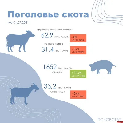 О профилактике распространения оспы овец и коз / Новости / Официальный сайт  администрации Городского округа Шатура