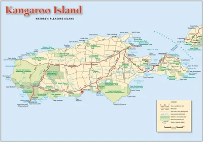 Остров Кенгуру: 75-минутное прибрежное сафари | GetYourGuide