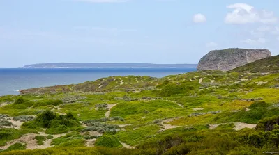 Остров Кенгуру, Австралия – фото, описание, карта | MirPlaneta