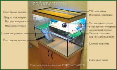 Черепахи красноухие: истории из жизни, советы, новости, юмор и картинки —  Все посты, страница 7 | Пикабу