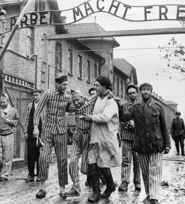 Освобождение узников Освенцима — фото из архива - 27.01.2020, Sputnik  Беларусь