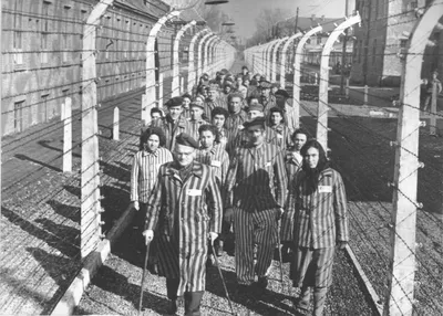 Освенцим»: а узники помнят, кто их освободил, или тоже промолчат? - ИА  REGNUM