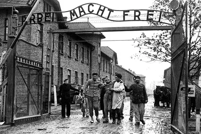 Файл:Освобожденных оставшихся в живых узников концлагеря Освенцим выводят  из лагеря.jpeg — Википедия