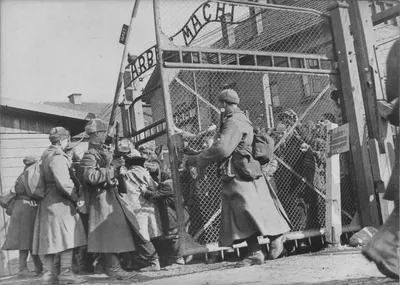 Советские солдаты открывают ворота концлагеря Освенцим, освобождая  заключенных [1] — военное фото