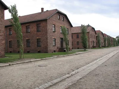 Краков - Освенцим | Турнавигатор
