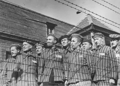 Группа узников и узниц концлагеря Освенцим у колючей проволоки после  освобождения [2] — военное фото