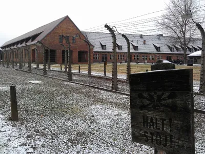 Освенцим — шокирующие факты про лагерь смерти | Польша Сегодня