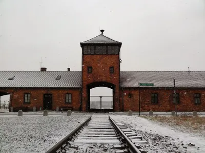 Лагерь смерти Освенцим. Десять шокирующих фактов