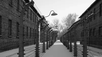 Лагерь смерти Освенцим: история в фотографиях – DW – 27.01.2020