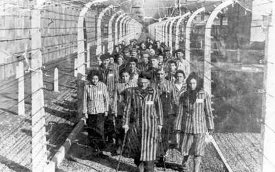 Сестра жертвы Холокоста назвала фотографии освобождения Освенцима подделкой  | Пикабу