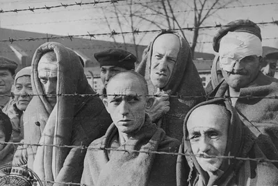 Правда и ложь об освобождении концлагеря Освенцим