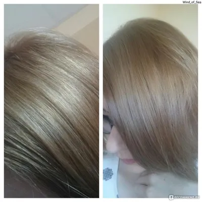 Осветлитель для волос Londa Blonding Powder - «Как равномерно осветлить  окрашенные волосы на 1-2 тона в домашних условиях? Это проще, чем кажется.  История о том, как я вышла из русого в желаемый