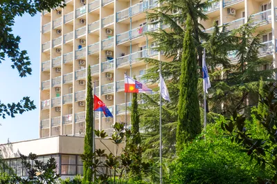Отель Дельфин 2* (Адлер, Россия), забронировать тур в отель – цены 2024,  отзывы, фото номеров, рейтинг отеля.
