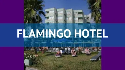 Отель Flamingo Beach (Мармарис, Турция) 4* — туры в отель Flamingo Beach:  Цена, отзывы, фото гостиницы