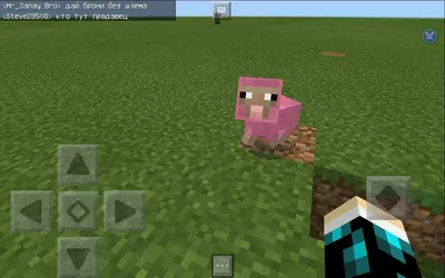 Овца — Minecraft Wiki