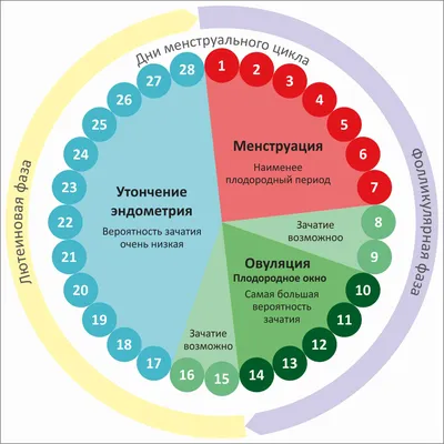 Какое самое плодородное время? Календарь может помочь вам