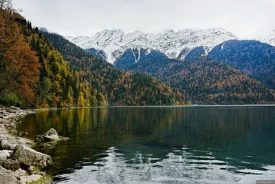 Озеро Рица, Абхазия. Фото, отели рядом, дача Сталина, экскурсии, где  находится, как добраться – Туристер.Ру