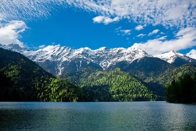 Обзорная экскурсия на озеро Рица в Абхазии — экскурсия на «Тонкостях  туризма»