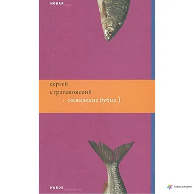 Оживление бубна, Сергей Стратановский купить в интернет-магазине: цена,  отзывы – Лавка Бабуин, Киев, Украина