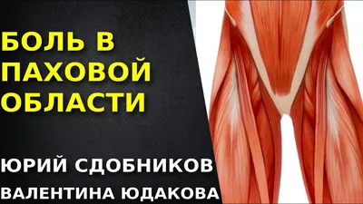 ПУЧКОВ К.В. ПРОФЕССОР • ХИРУРГ on Instagram: \"Паховая грыжа - это одно из  наиболее распространенных заболеваний передней брюшной стенки, при котором  происходит выпячивание органов в паховый канал. При этом заболевании  отсутствие лечения