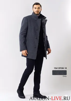 Пальто мужское зимнее Avalon 10613ПЗМ 18 купить с доставкой - цена 11300  руб.